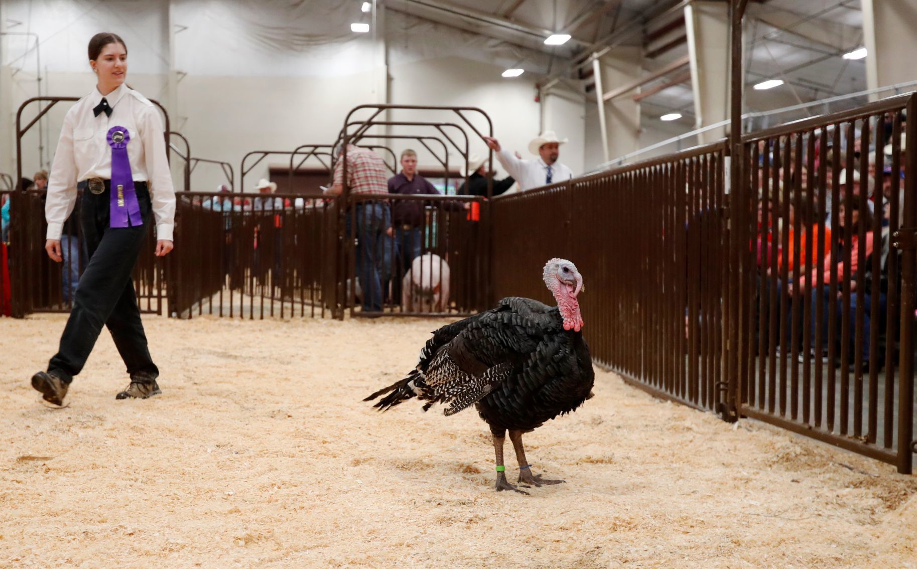 Rose Baeten of the Laurel Roadrunners 4-H club